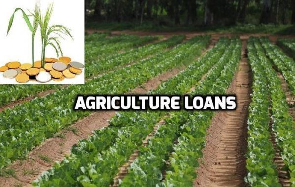 Agriculture Loan